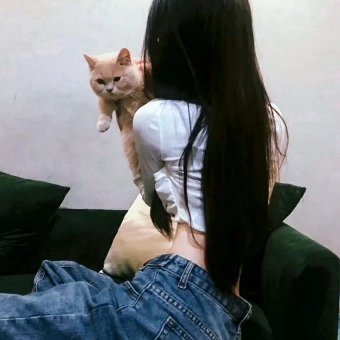 一条狗的使命2海报