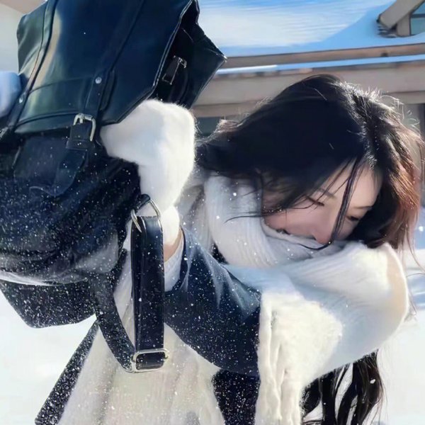 与螂共舞海报