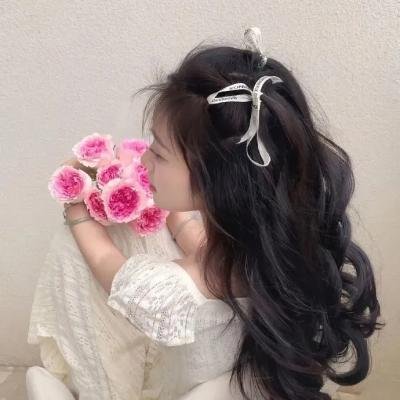 玫瑰人生海报