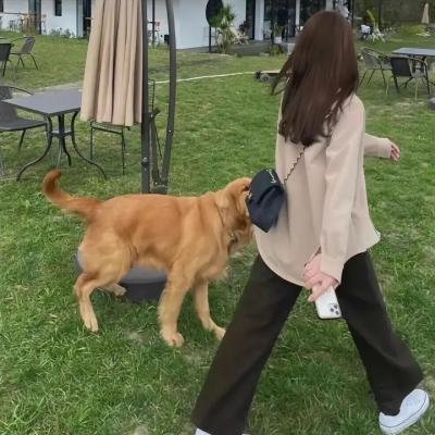 仙女特攻队海报