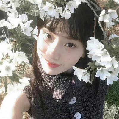 相敬如宾海报